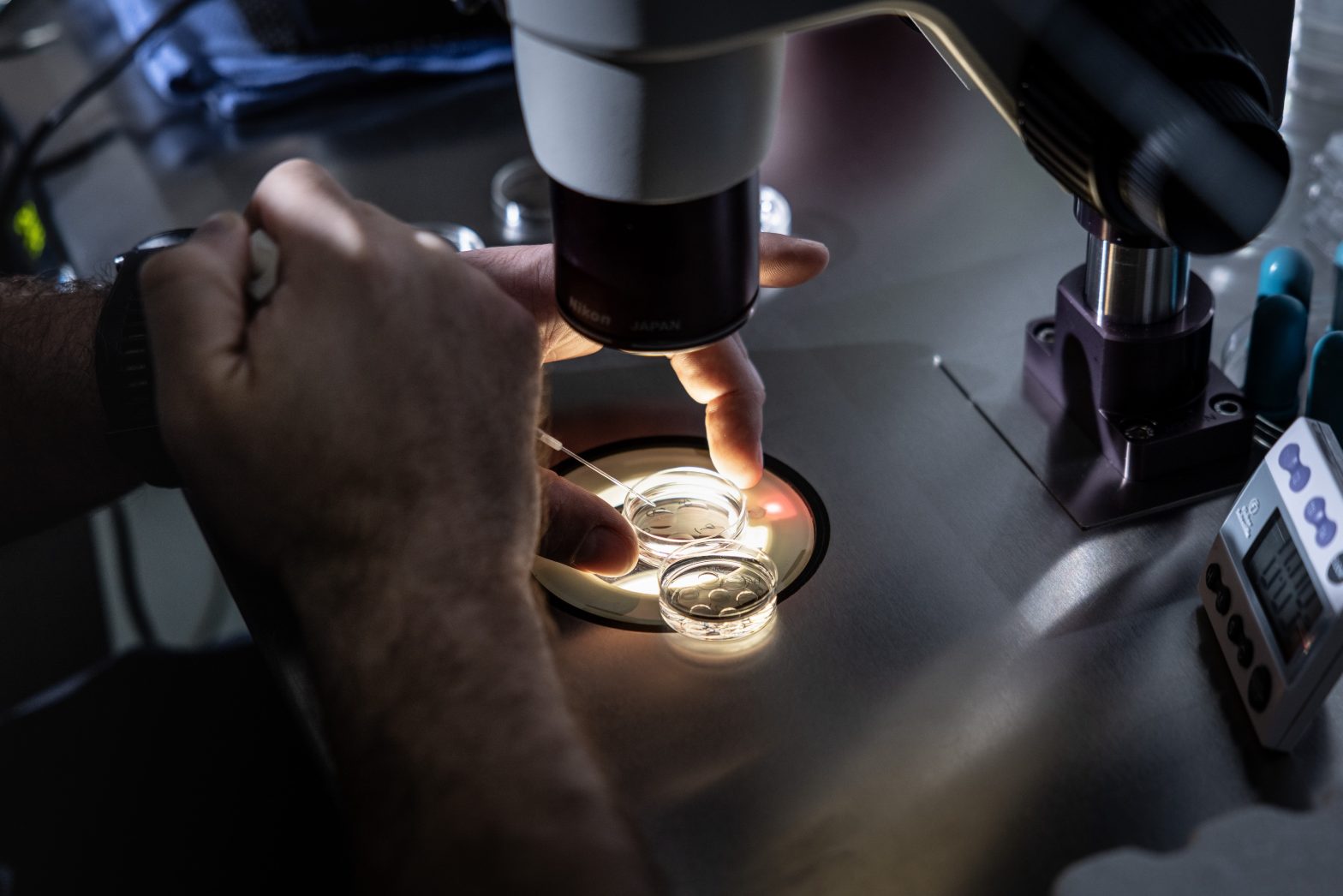 قانون IVF کالیفرنیا ممکن است تا سال 2026 به تأخیر بیفتد ، و بسیاری از آنها را در لورچ قرار می دهد